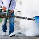Rodent control services Ibadan
