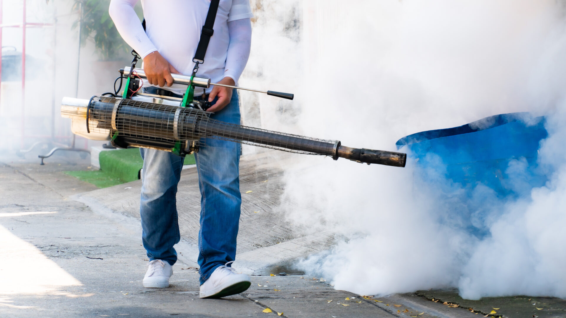 Rodent control services Ibadan